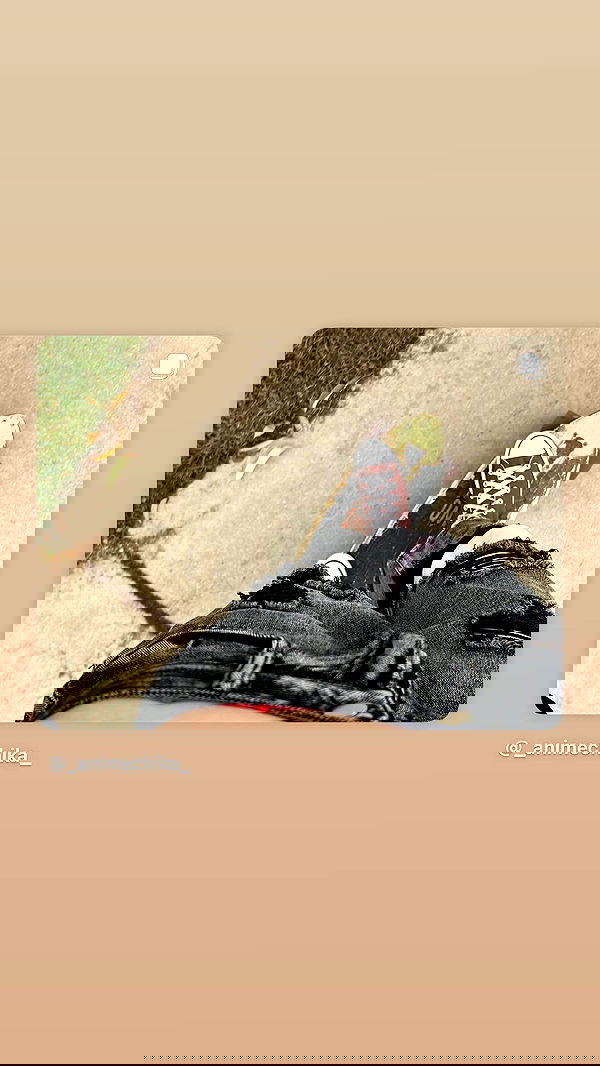 _animechika_ image ~ Altpins