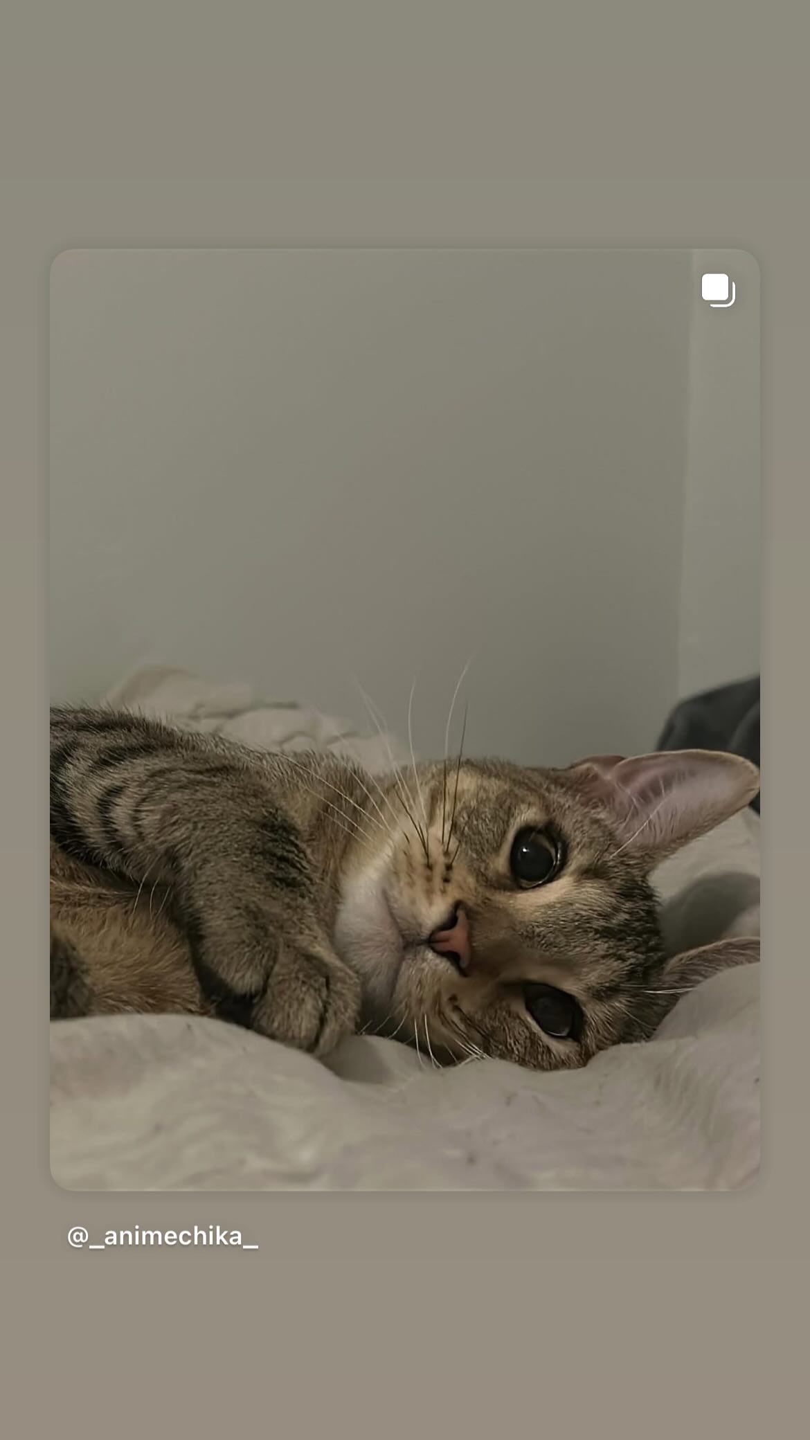 _animechika_ instagram image archive image