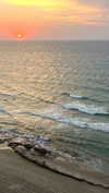 _ariel_lll Altpins Profile Picture