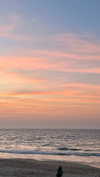 _ariel_lll Altpins Profile Picture