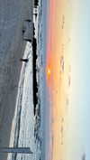 _ariel_lll Altpins Profile Picture