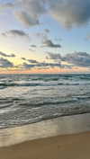 _ariel_lll Altpins Profile Picture