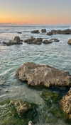 _ariel_lll Altpins Profile Picture