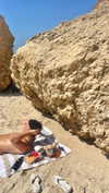 _ariel_lll Altpins Profile Picture