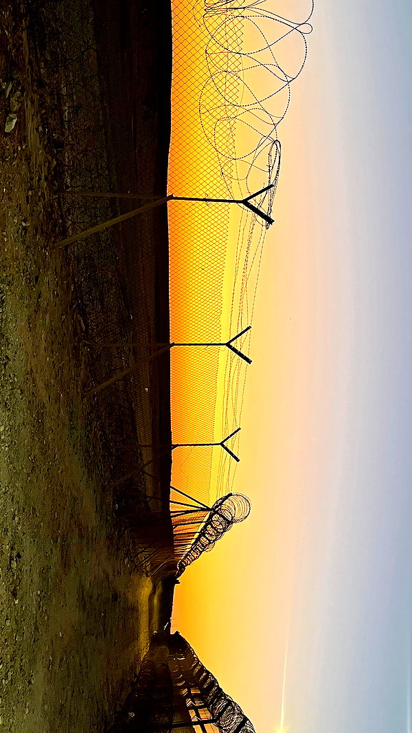_ariel_lll instagram image archive image