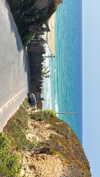 _ariel_lll Altpins Profile Picture