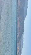 _ariel_lll Altpins Profile Picture