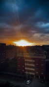 _asietta_x2 Altpins Profile Picture