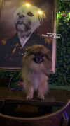 _batzir_haanavim Altpins Profile Picture