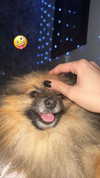 _batzir_haanavim Altpins Profile Picture