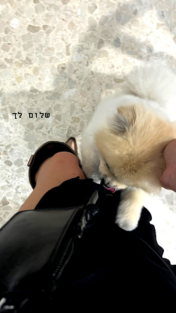 _batzir_haanavim instagram image archive image