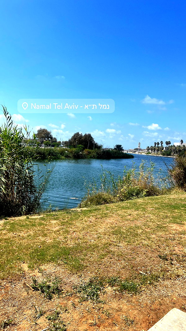 _batzir_haanavim instagram image archive image