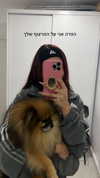 _batzir_haanavim Altpins Profile Picture