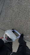 _dfoxx Altpins Profile Picture