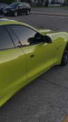 _dfoxx Altpins Profile Picture