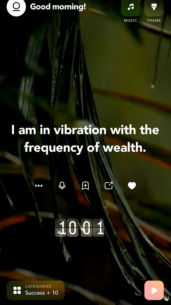 _dfoxx instagram image archive image