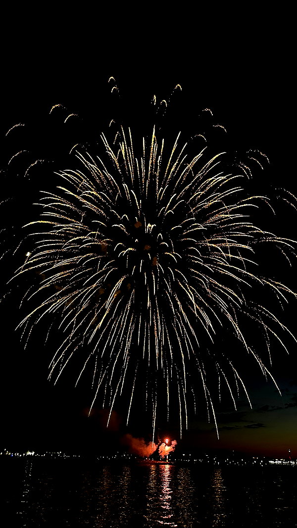 _dfoxx _dfoxx archive image