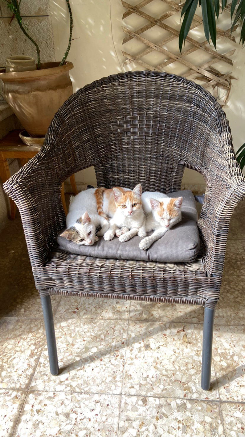 _femalien instagram image archive image