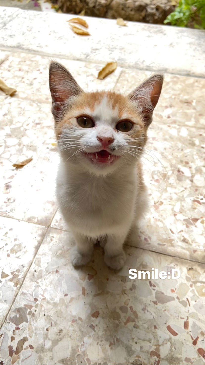 _femalien instagram image archive image