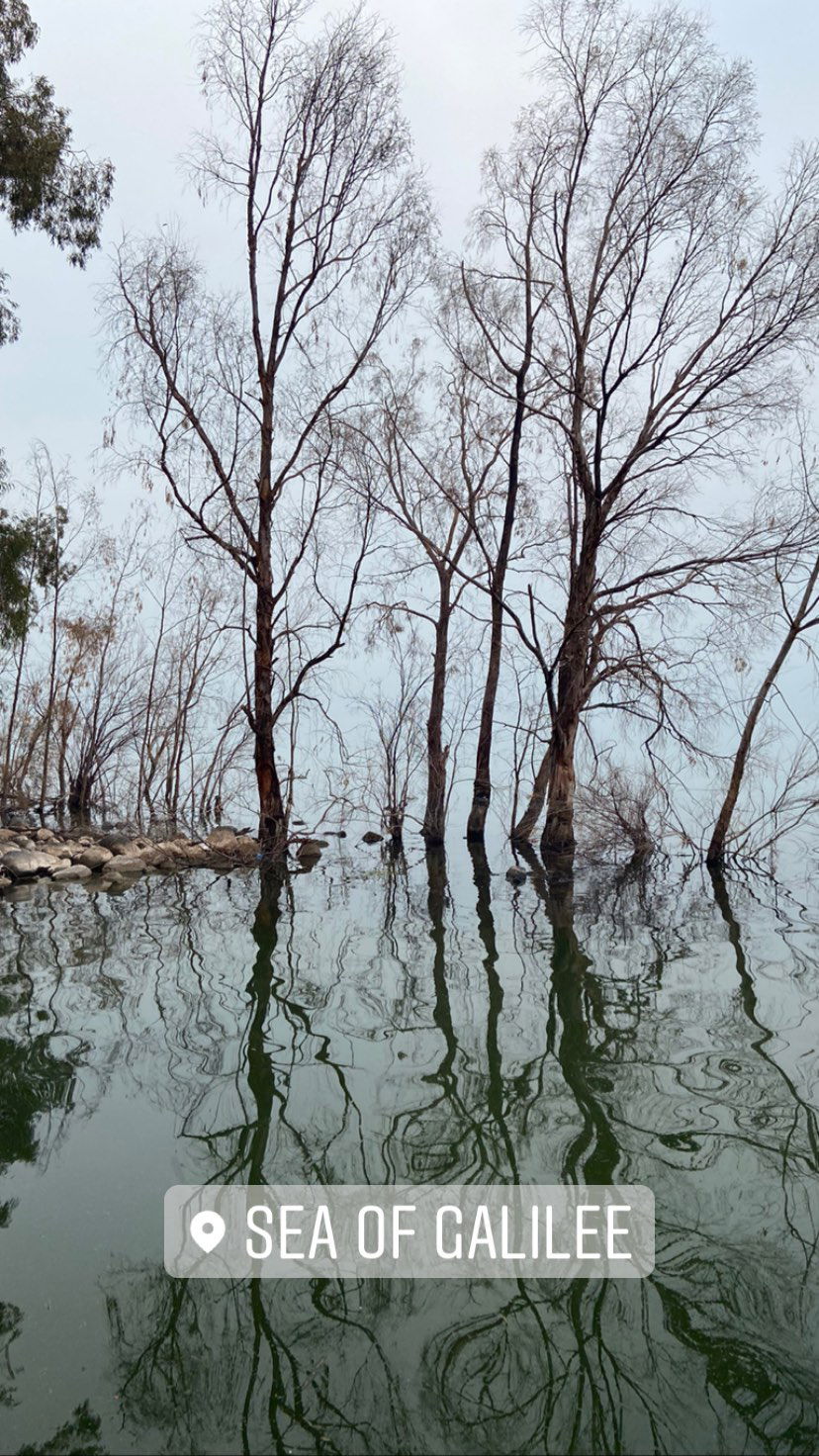 _femalien instagram image archive image