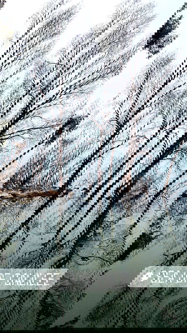 _femalien image ~ Altpins