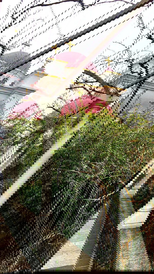 _femalien image ~ Altpins