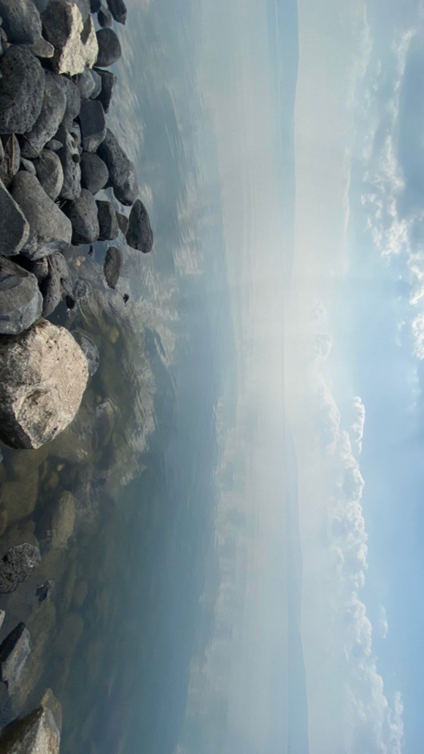 _femalien instagram image archive image