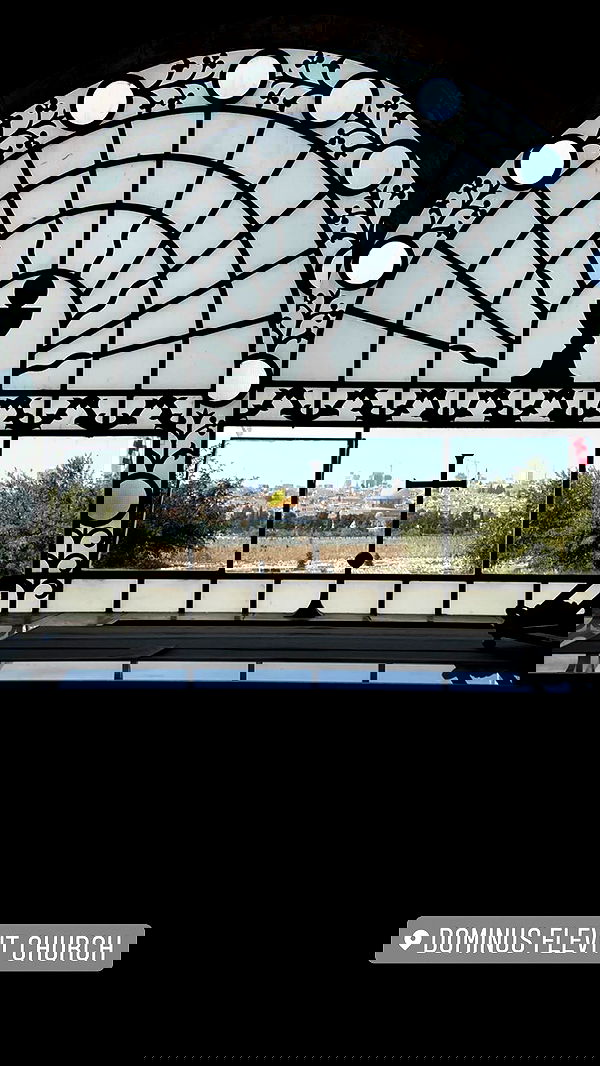 _femalien image ~ Altpins