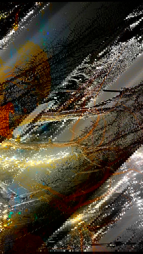 _femalien image ~ Altpins