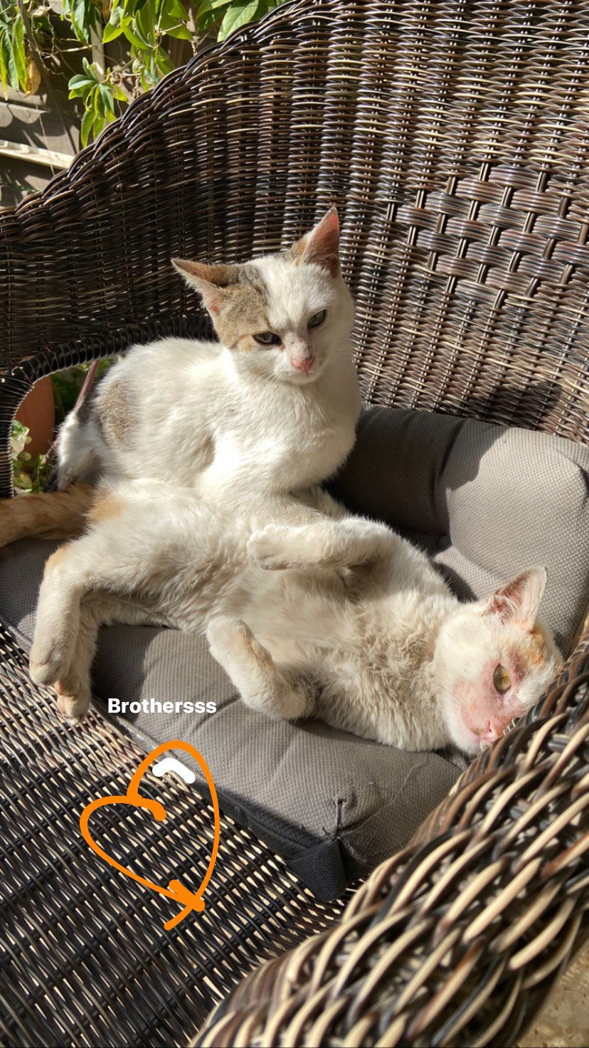 _femalien instagram image archive image