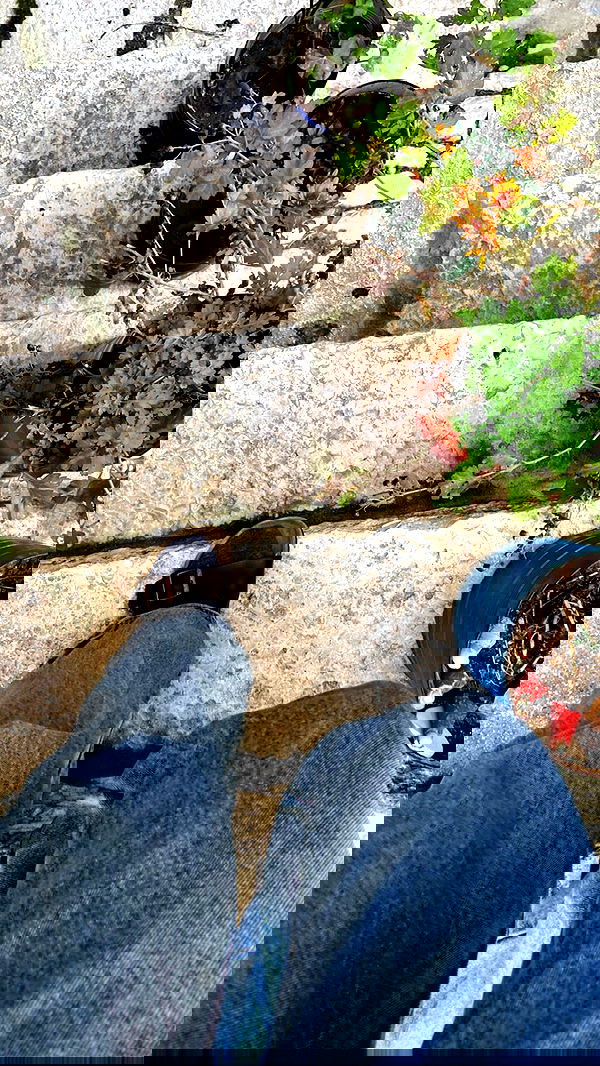 _femalien image ~ Altpins