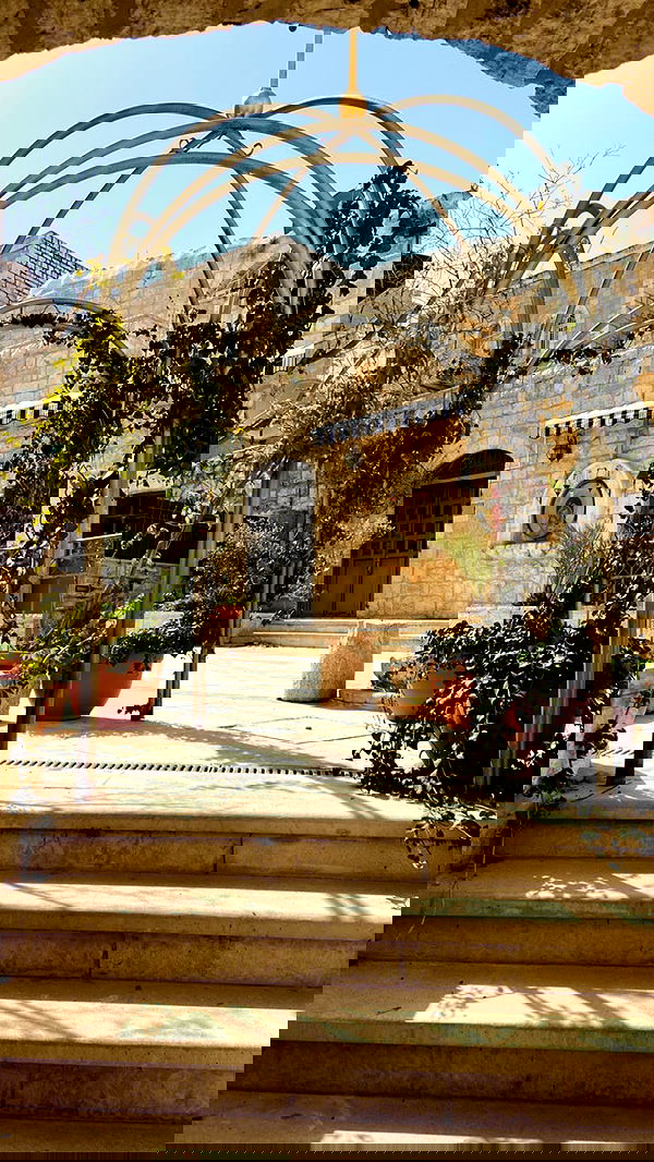 _femalien image ~ Altpins