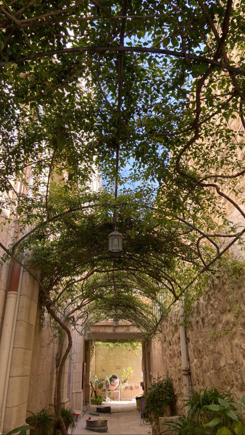 _femalien instagram image archive image