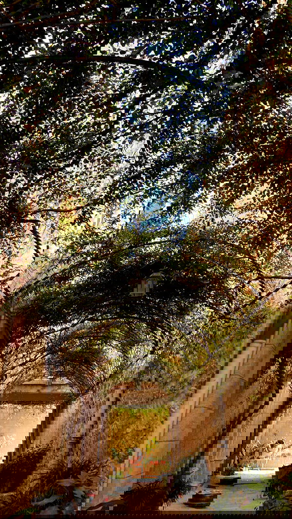 _femalien image ~ Altpins