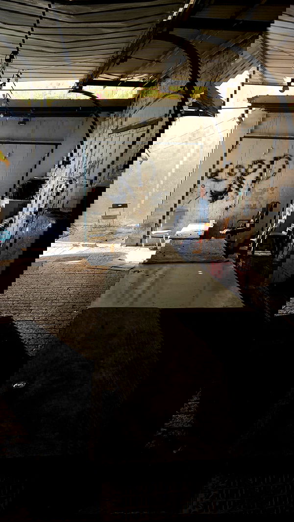 _femalien image ~ Altpins