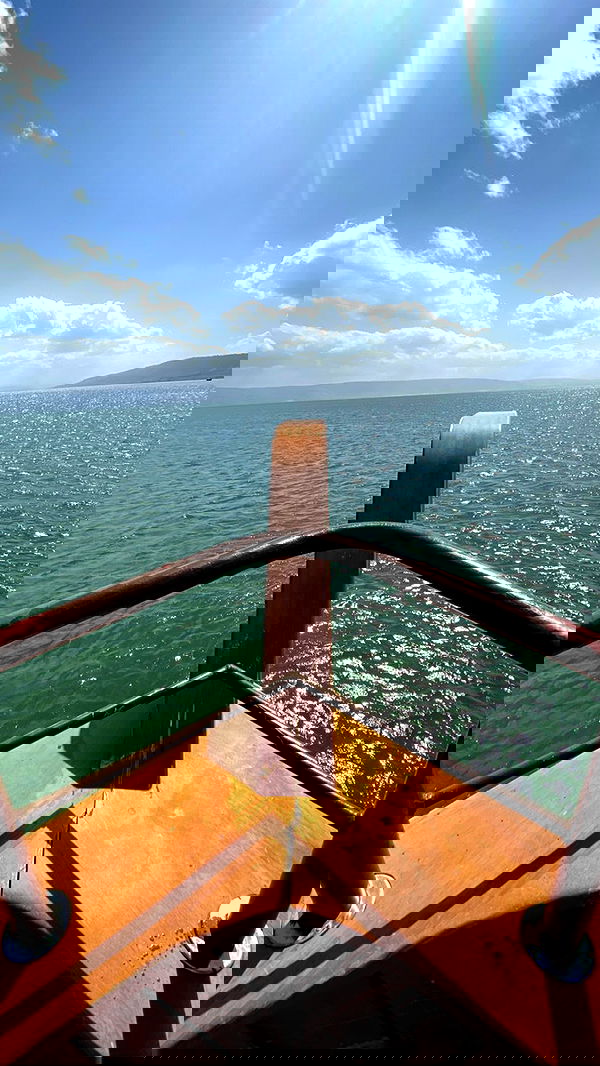 _femalien image ~ Altpins