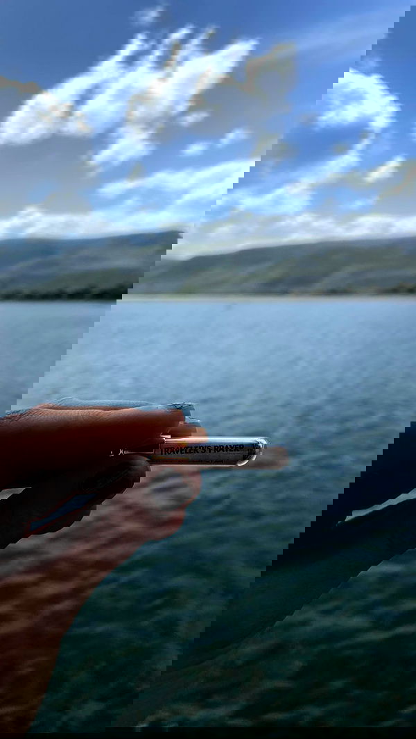 _femalien image ~ Altpins