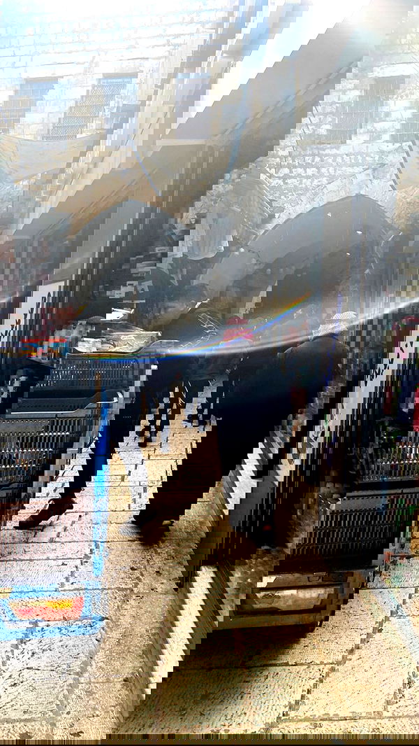 _femalien image ~ Altpins