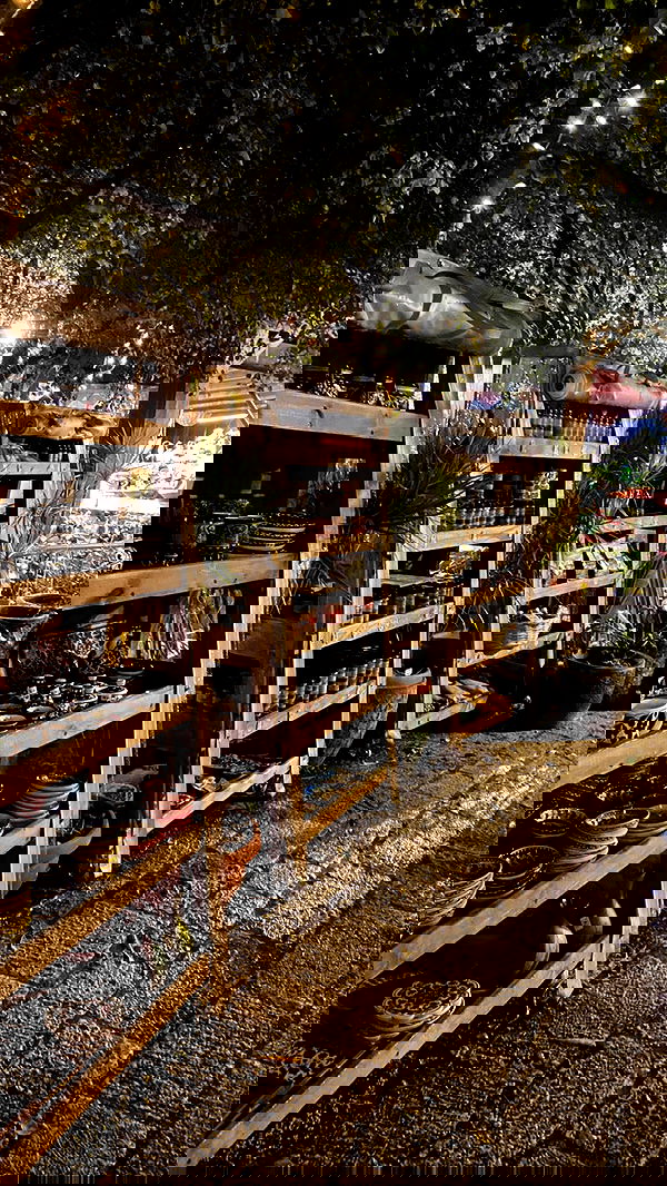 _femalien image ~ Altpins