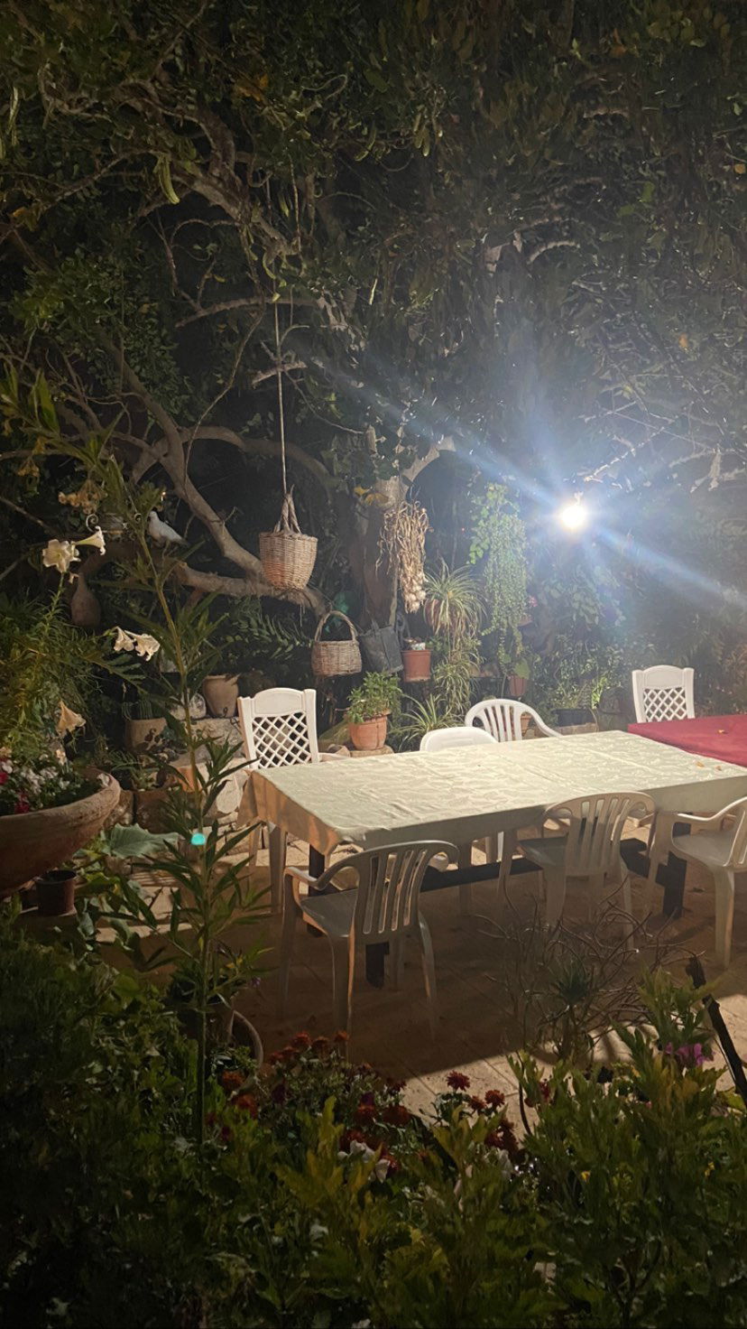 _femalien instagram image archive image