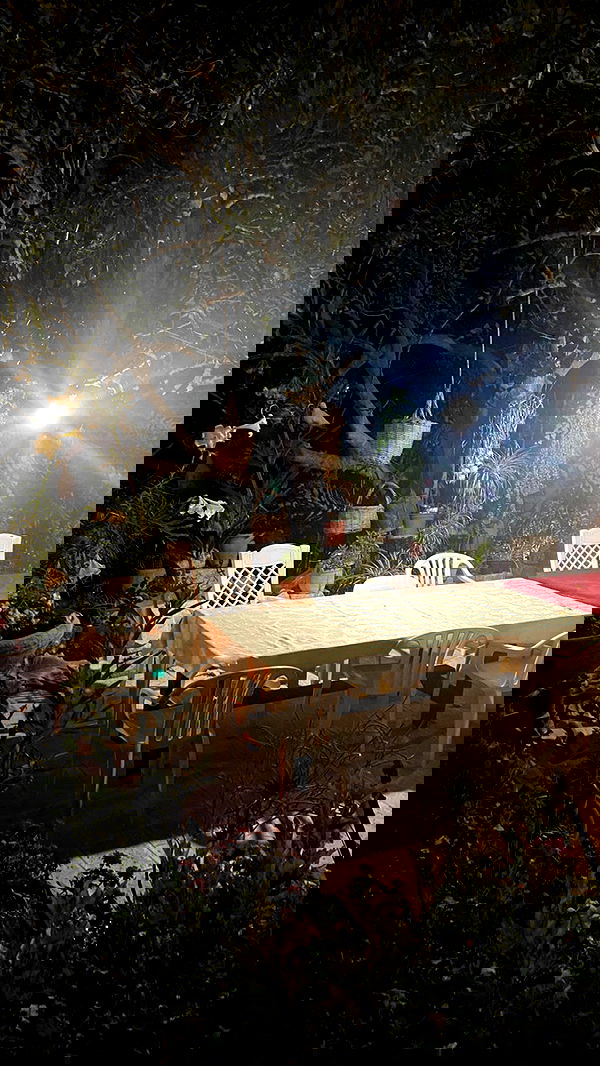 _femalien image ~ Altpins