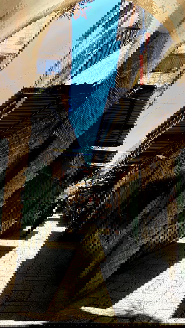 _femalien image ~ Altpins