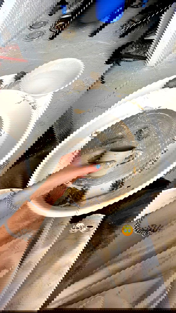 _femalien image ~ Altpins