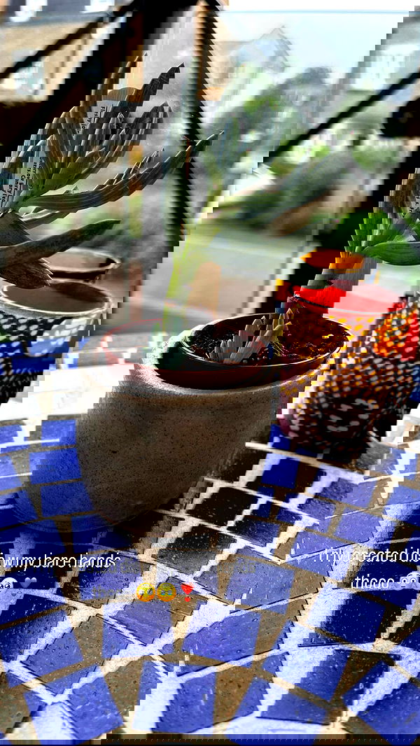 _femalien image ~ Altpins