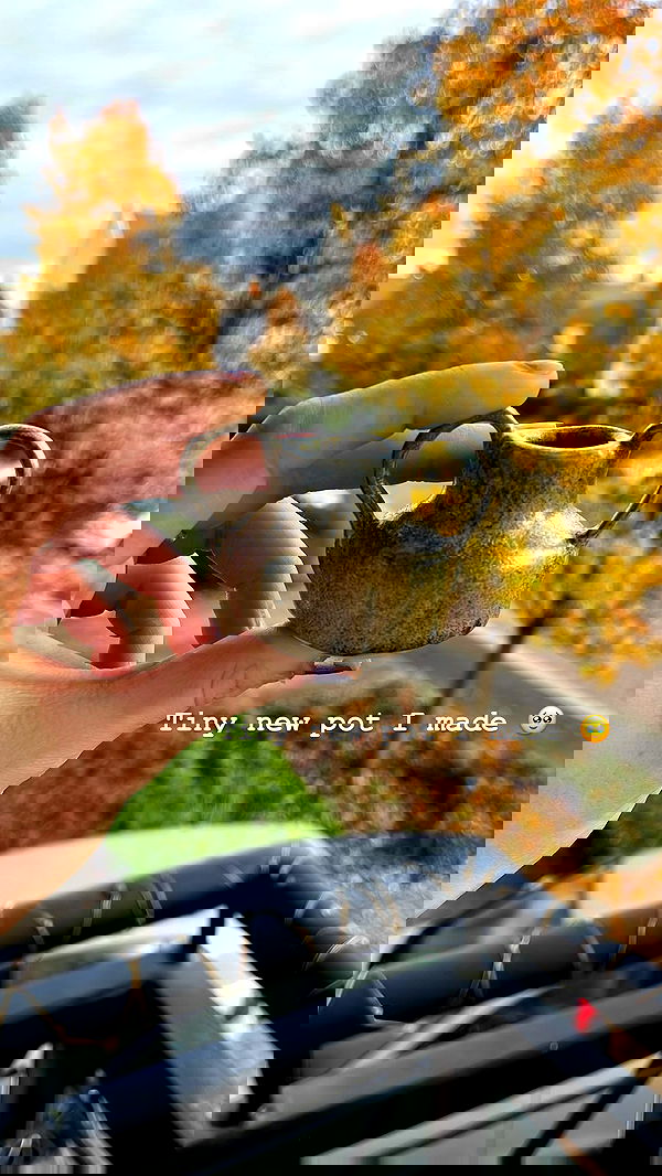 _femalien image ~ Altpins