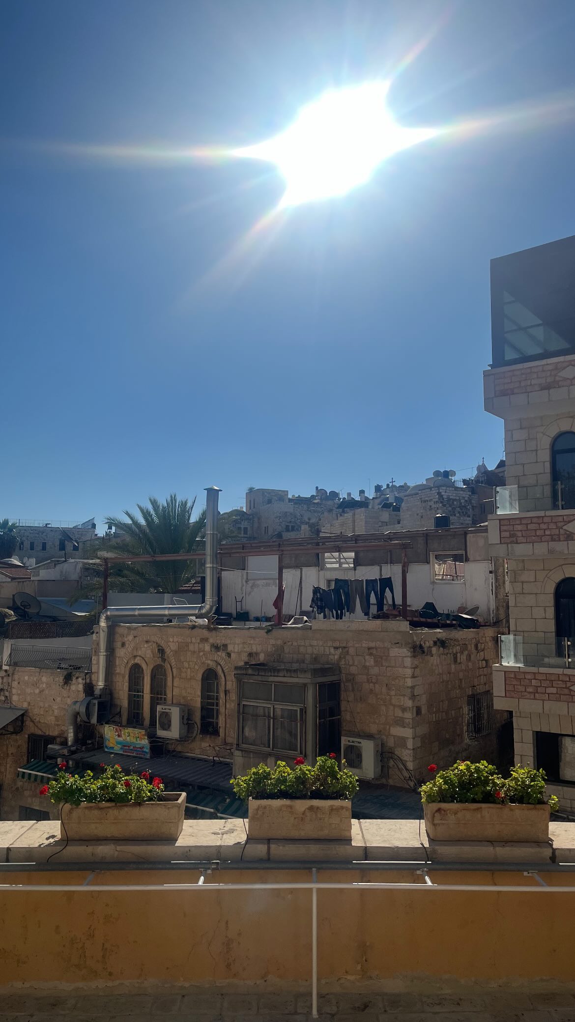 _femalien instagram image archive image