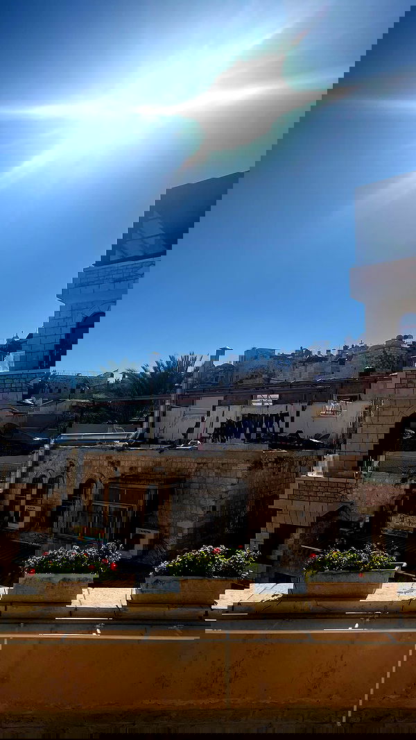 _femalien image ~ Altpins