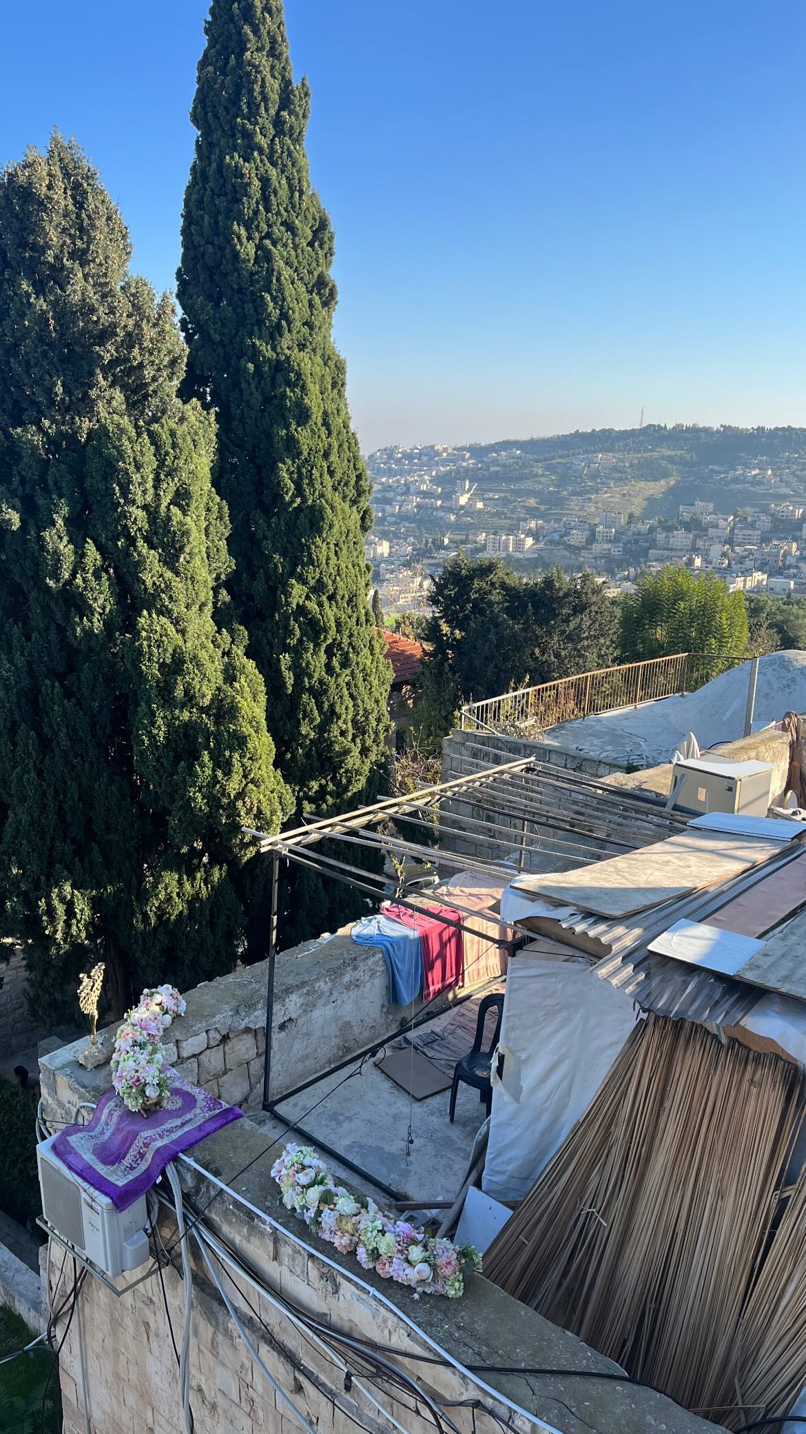 _femalien instagram image archive image