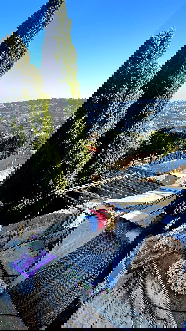 _femalien image ~ Altpins