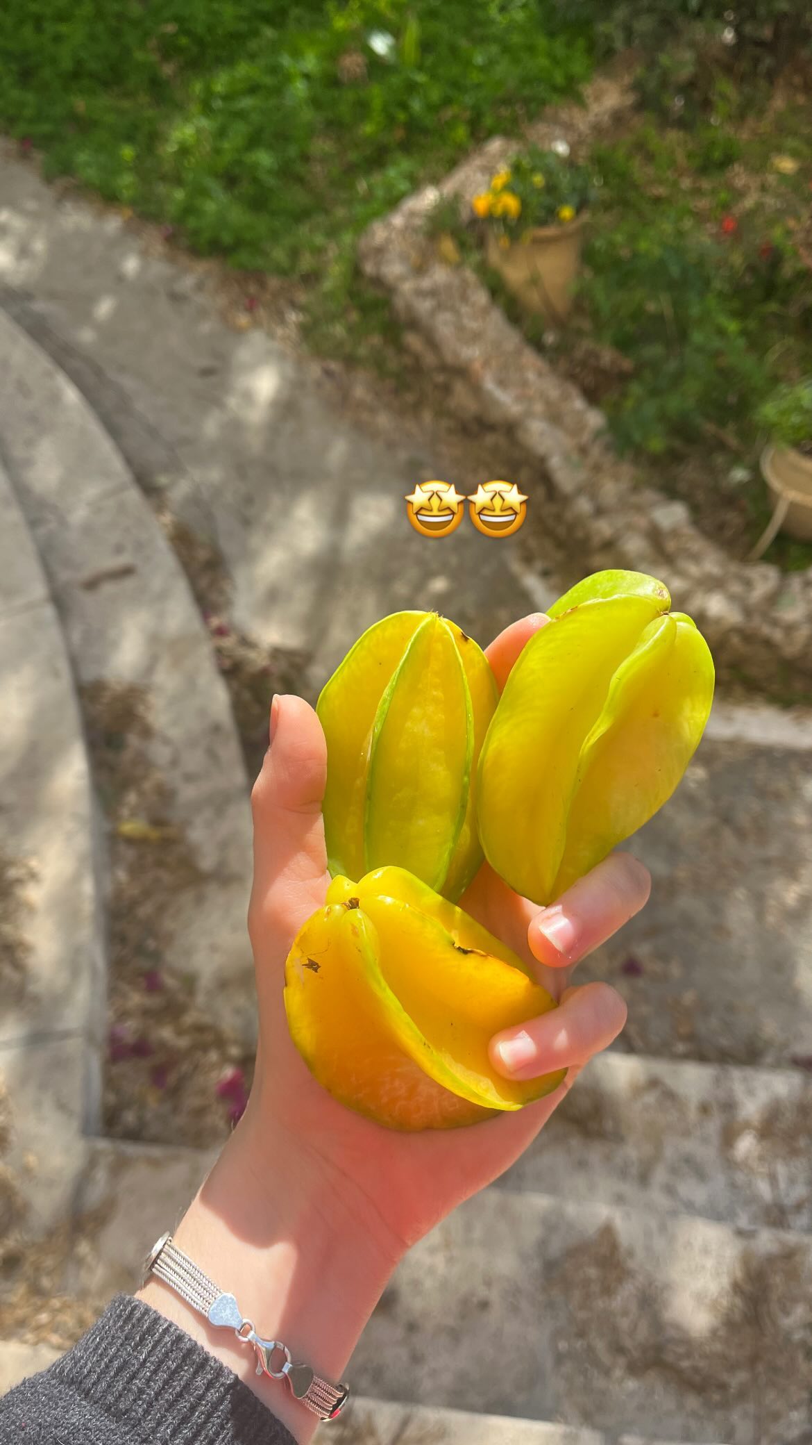 _femalien instagram image archive image